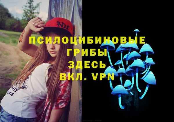 дмт Балахна
