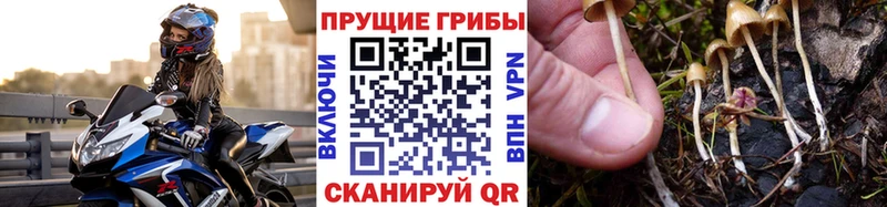 Галлюциногенные грибы мицелий  закладки  Петухово 