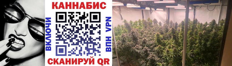 Канабис White Widow  Петухово 